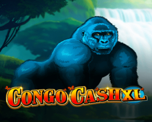 Congo Cash XL
