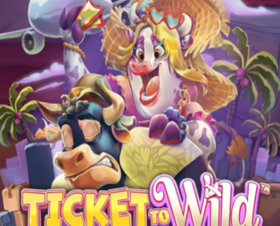 Ticket To Wild