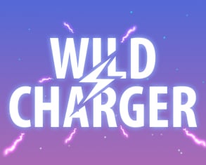 
                            Wild Charger