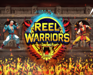 Reel Warriors