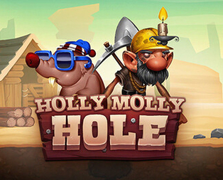 Holly Molly Hole