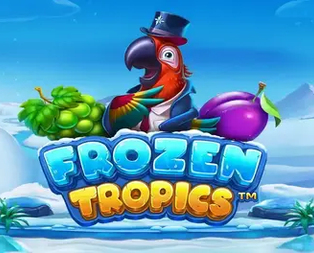 Frozen Tropics
