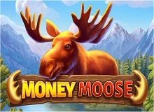 Money Moose