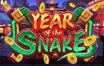 Year Of The Snake