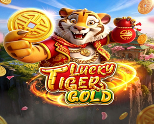 Lucky Tiger Gold