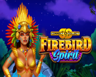 Firebird Spirit Connect & Collect