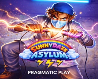 
                            Sunnydaze Asylum