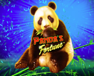 Panda's Fortune