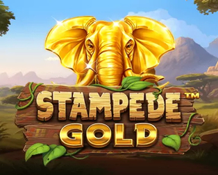 Stampede Gold™