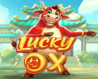 Lucky Ox