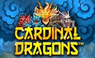 Cardinal Dragons NJP