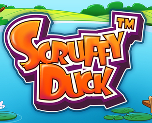 Scruffy Duck