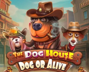 The Dog House – Dog or Alive