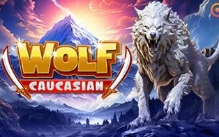 Caucasian wolf