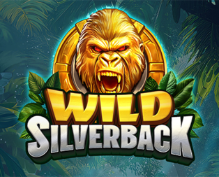 Wild Silverback