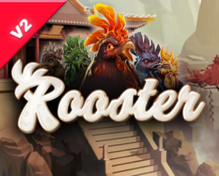 Rooster