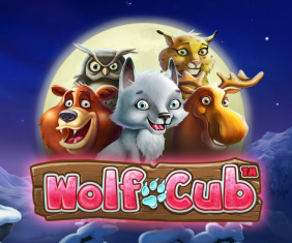 Wolf Cub