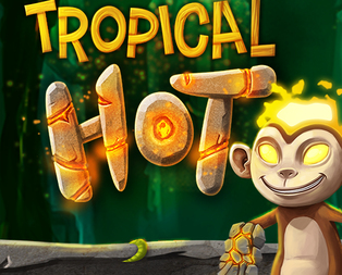 Tropical Hot