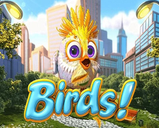 
                            Birds!