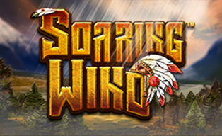 Soaring Wind