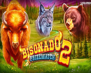 
                            Bisonado 2 PrizeMatch
