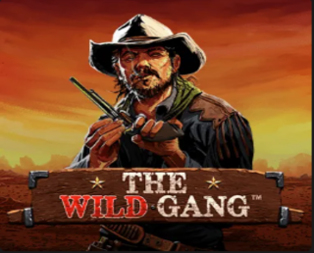 The Wild Gang