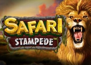 Safari Stampede
