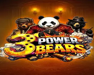 3 Power Bears