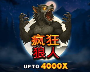 
                            Werewolf Madness