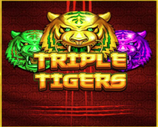 Triple Tigers