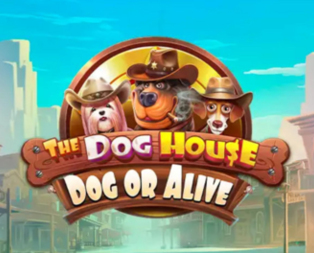 The Dog House - Dog or Alive