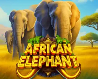 African Elephant™