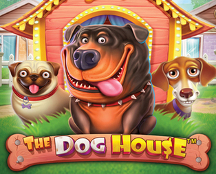 The Dog House