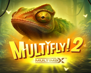 MultiFly 2 MultiMax