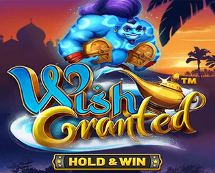 Wish Granted™