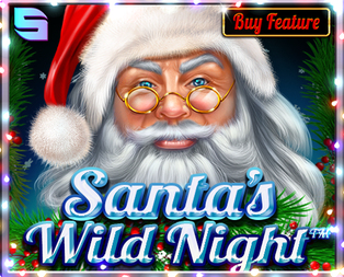Santa’s Wild Night