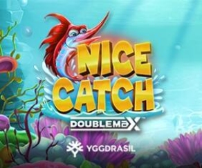 Nice Catch DoubleMax 