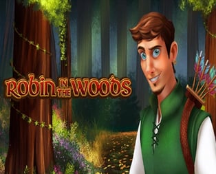 Robin in the Woods