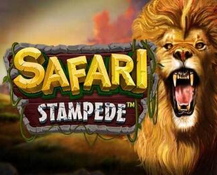 Safari Stampede