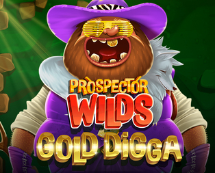 Prospector Wilds: Gold Digga