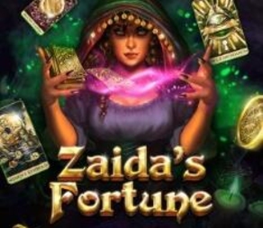 Zaida's Fortune