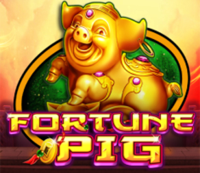 FORTUNE PIG