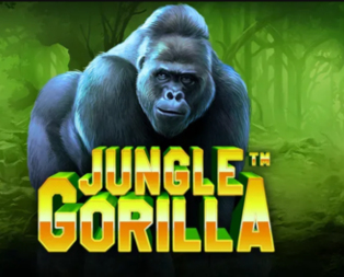 Jungle Gorilla