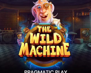 The Wild Machine™