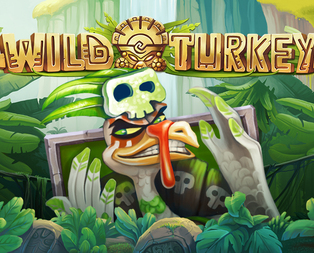 Wild Turkey