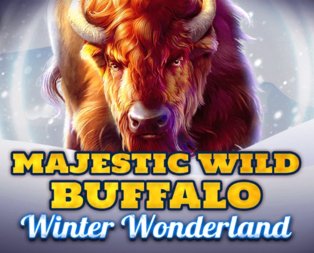 Majestic Wild Buffalo - Winter Wonderland