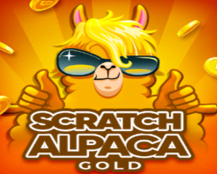 Scratch Alpaca Gold