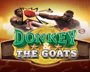 Donkey &amp; the GOATS