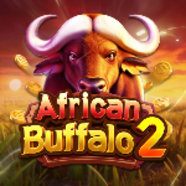 African Buffalo 2