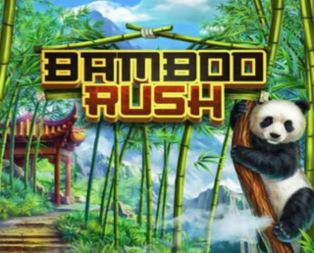 
                            Bamboo Rush